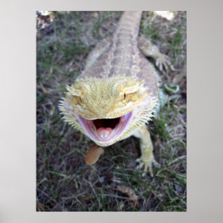 Super Happy Bearded Dragon Poster