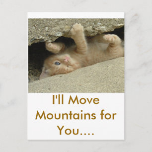 Super Hero Kitty Cat Postcard