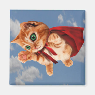 Super Kitty Magnet
