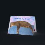Super Lazy Party Cat Birthday Card<br><div class="desc">Funny picture of Rupie doing what he does best! Personalise with your own special message,  change the font style and colour. Photo ©Christine Greenspan. Licensed birthday graphics.</div>