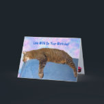 Super Lazy Party Cat Birthday Card<br><div class="desc">Funny picture of Rupie doing what he does best! Personalise with your own special message,  change the font style and colour. Photo ©Christine Greenspan. Licensed birthday graphics.</div>