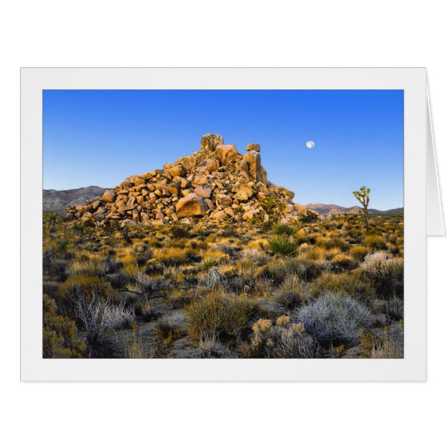 " Super-Moon Morning " (Front Horizontal)