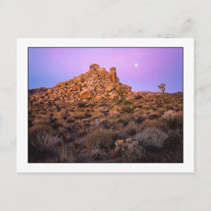 " Super-Moon Morning " Postcard