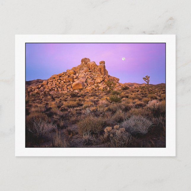 " Super-Moon Morning " Postcard (Front)