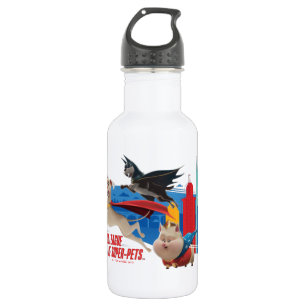 Super-Pets Patrolling Metropolis 532 Ml Water Bottle