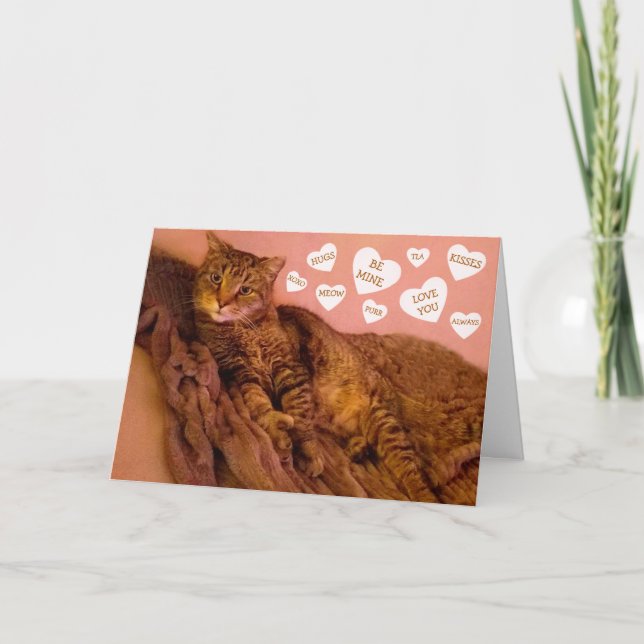 Super Romantic Cat Funny Valentine's Day Holiday Card (Front)