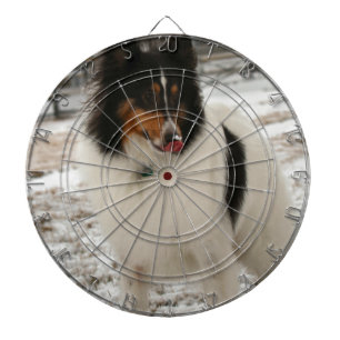 Super  shelty dartboard