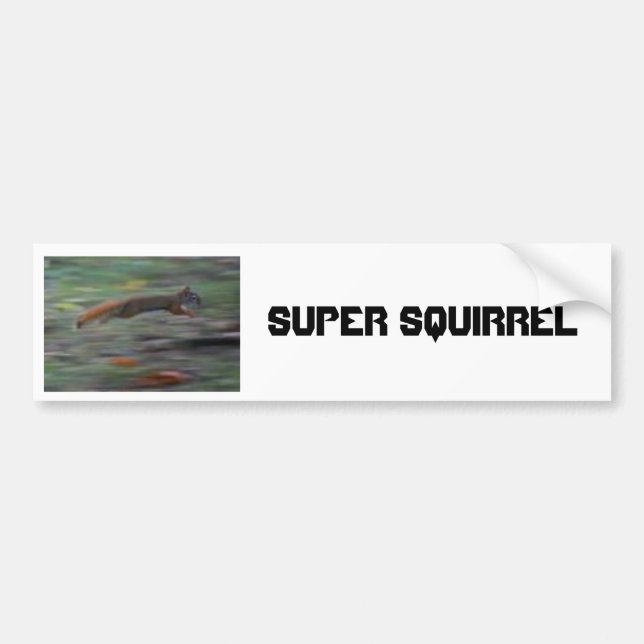 SUPER SQUIRREL!!!! BUMPER STICKER (Front)