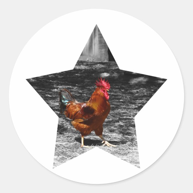 Super Star Chicken Classic Round Sticker (Front)