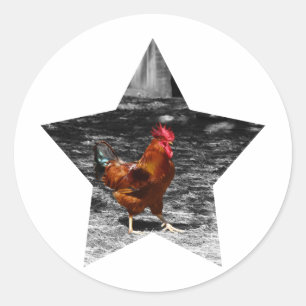 Super Star Chicken Classic Round Sticker