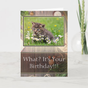 Super Suprised Happy Birthday Kitten Photo Card
