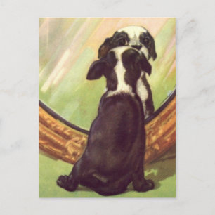 Super Sweet Vintage Baby Boston Terrier Postcard