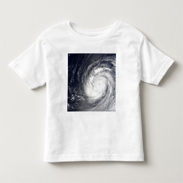 Super Typhoon Choi-wan Toddler T-Shirt (Front)
