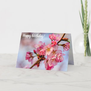 Superb Beauty Of Pink Sakura Flowers In Spring Card