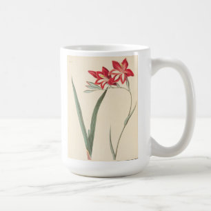 Superb Corn-Flag Coffee Mug