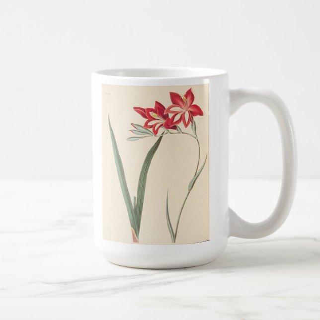 Superb Corn-Flag Coffee Mug (Right)