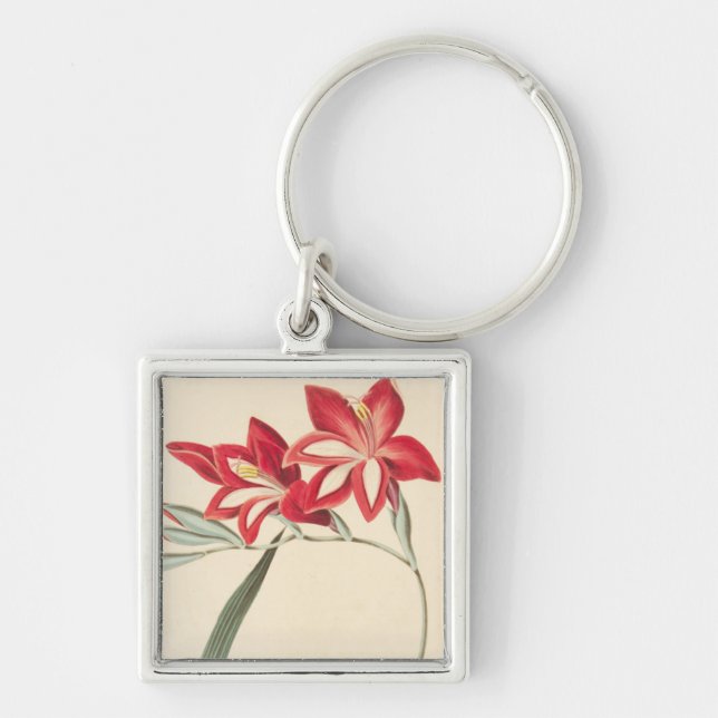 Superb Corn-Flag Key Ring (Front)