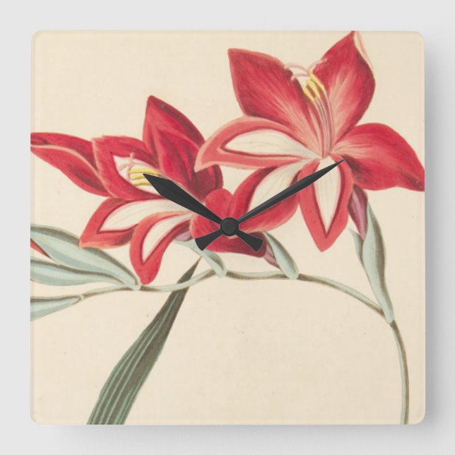 Superb Corn-Flag Square Wall Clock (Front)