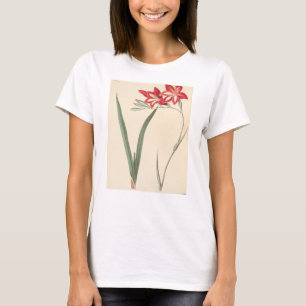 Superb Corn-Flag T-Shirt