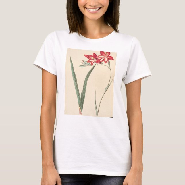 Superb Corn-Flag T-Shirt (Front)