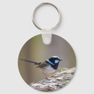 Superb Fairy-wren Key Ring