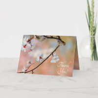 Superb Japanese Apricot Flowers