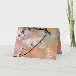 Superb Japanese Apricot Flowers Thank You Card