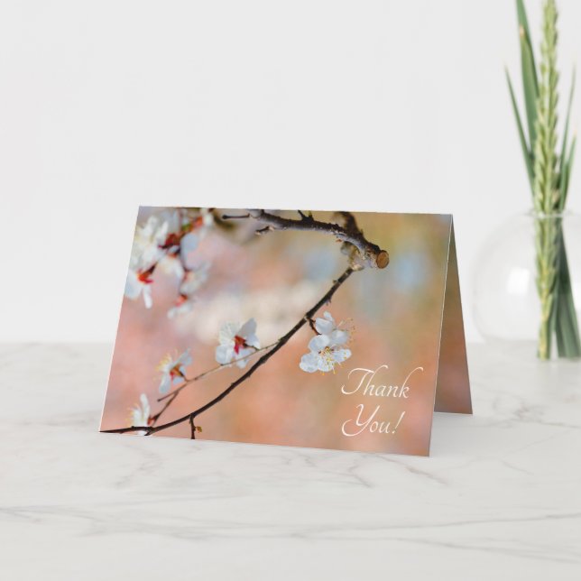 Superb Japanese Apricot Flowers Thank You Card (Front)