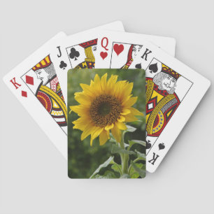 Superb Sunflower Playing Cards