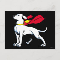 Superdog Krypto