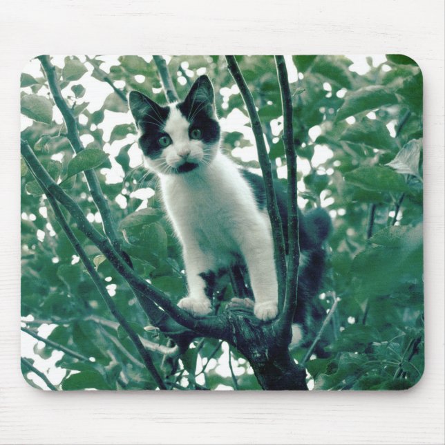 Superfluity of Naughtiness Mouse Pad (Front)