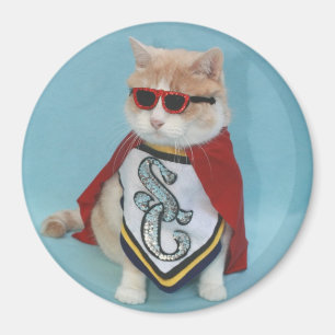 Superhero Bubba Magnet