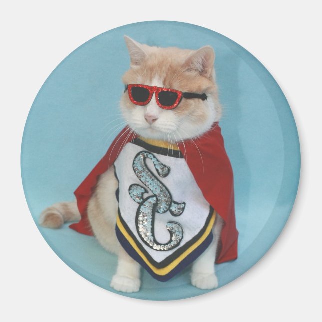 Superhero Bubba Magnet (Front)