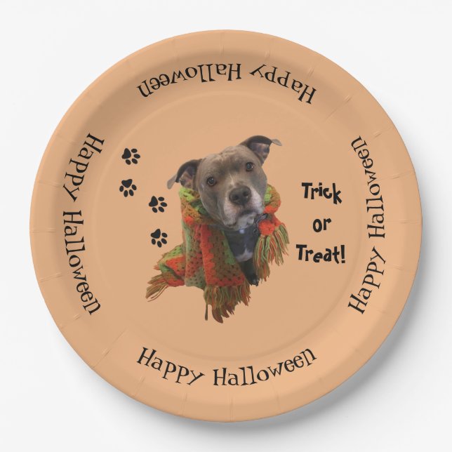 Superhero Halloween Pitbull Paper Plates (Front)