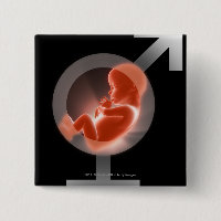 Superimposed foetus over male and female symbols