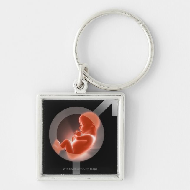 Superimposed foetus over male and female symbols key ring (Front)