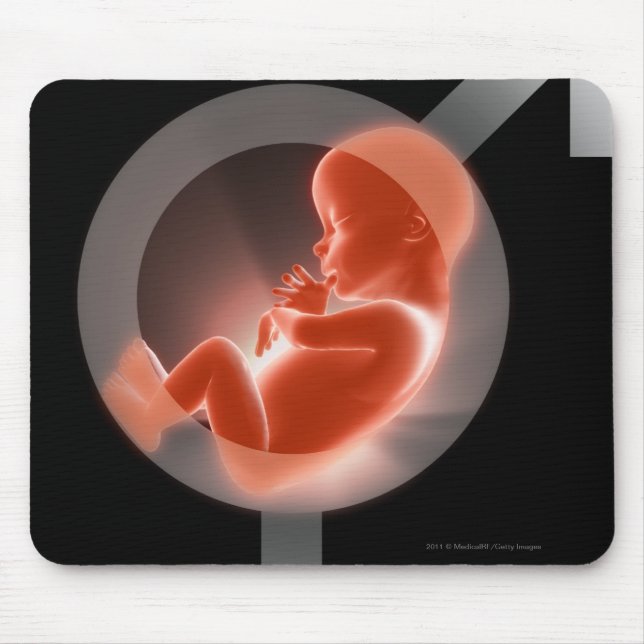 Superimposed foetus over male and female symbols mouse pad (Front)