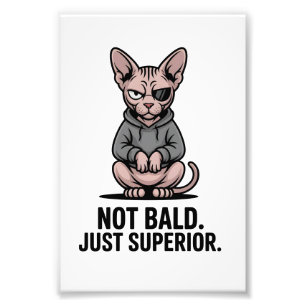 Superior Sphynx Cat Attitude Illustration Photo Print
