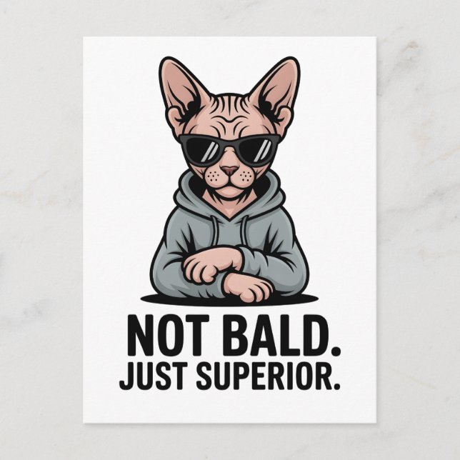 Superior Sphynx Cat Sarcastic Attitude Art Postcard (Front)