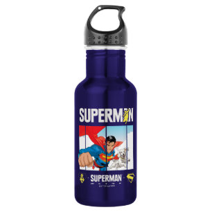 Superman and Krypto Take Flight 532 Ml Water Bottle