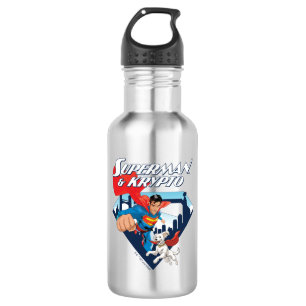 Superman & Krypto Soar 532 Ml Water Bottle