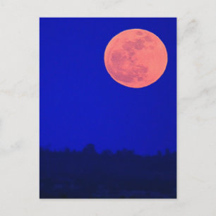 Supermoon May 2012 Postcard