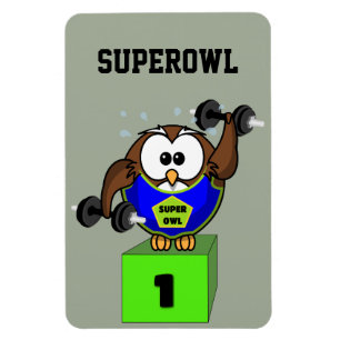 SuperOwl Magnet