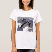 Supersonic Fighter Jet