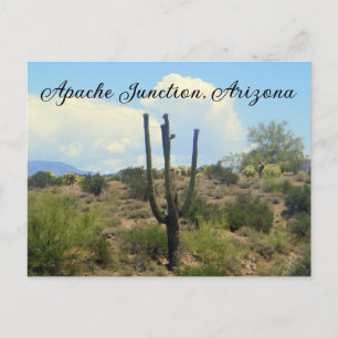 Superstition beauty Apache Junction, Arizona Postcard