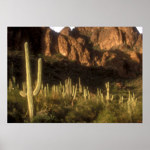 Superstition Mountain Poster