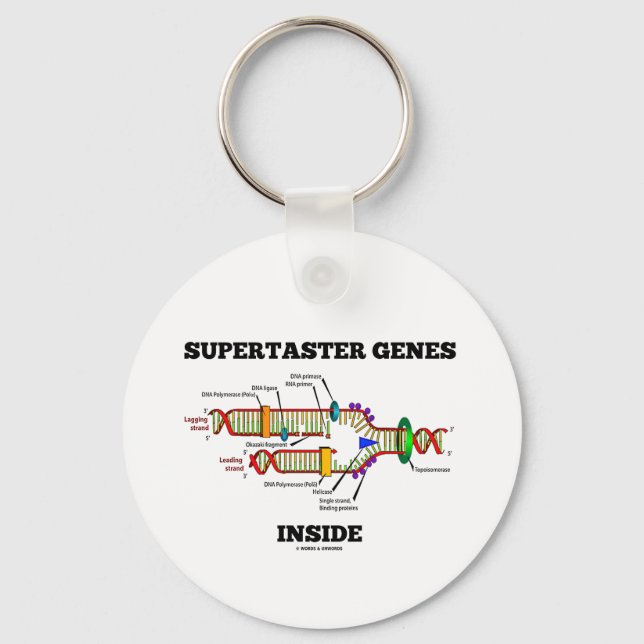 Supertaster Genes Inside (DNA Replication) Key Ring (Front)