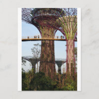 Supertree Grove Gardens By The Bay Singapore