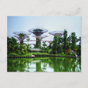 Supertrees and dragonfly lake postcard