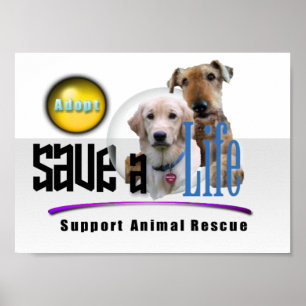 SUPPORT ANIMAL RESCUE - ADOPT! POSTER